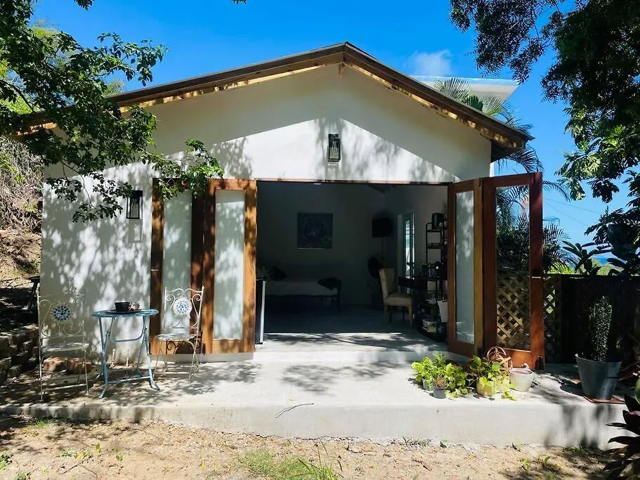 Jungle Bungalow Studio In Rincon Apartment