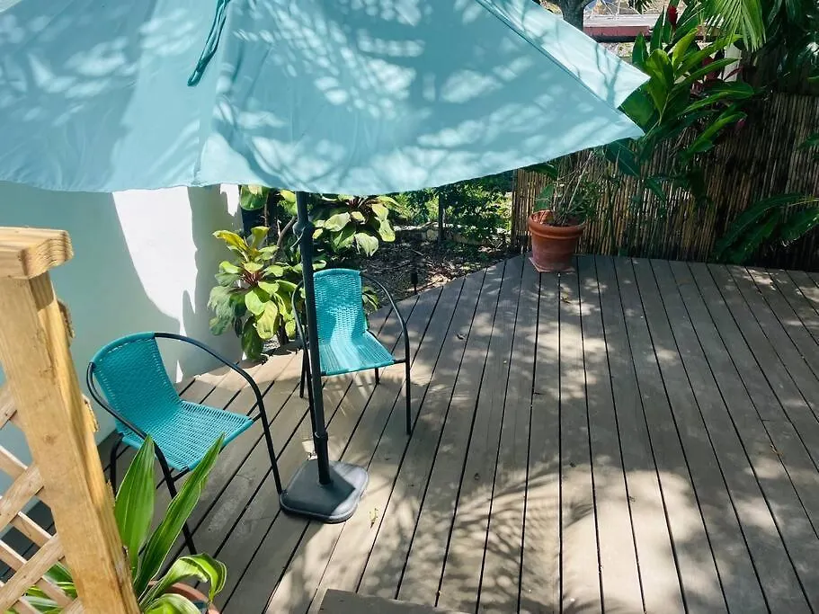Jungle Bungalow Studio In Rincon Apartment