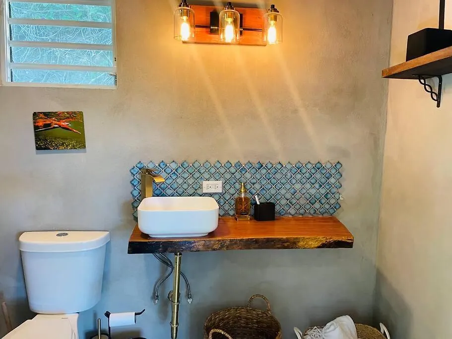 Jungle Bungalow Studio In Rincon Apartment 0*,