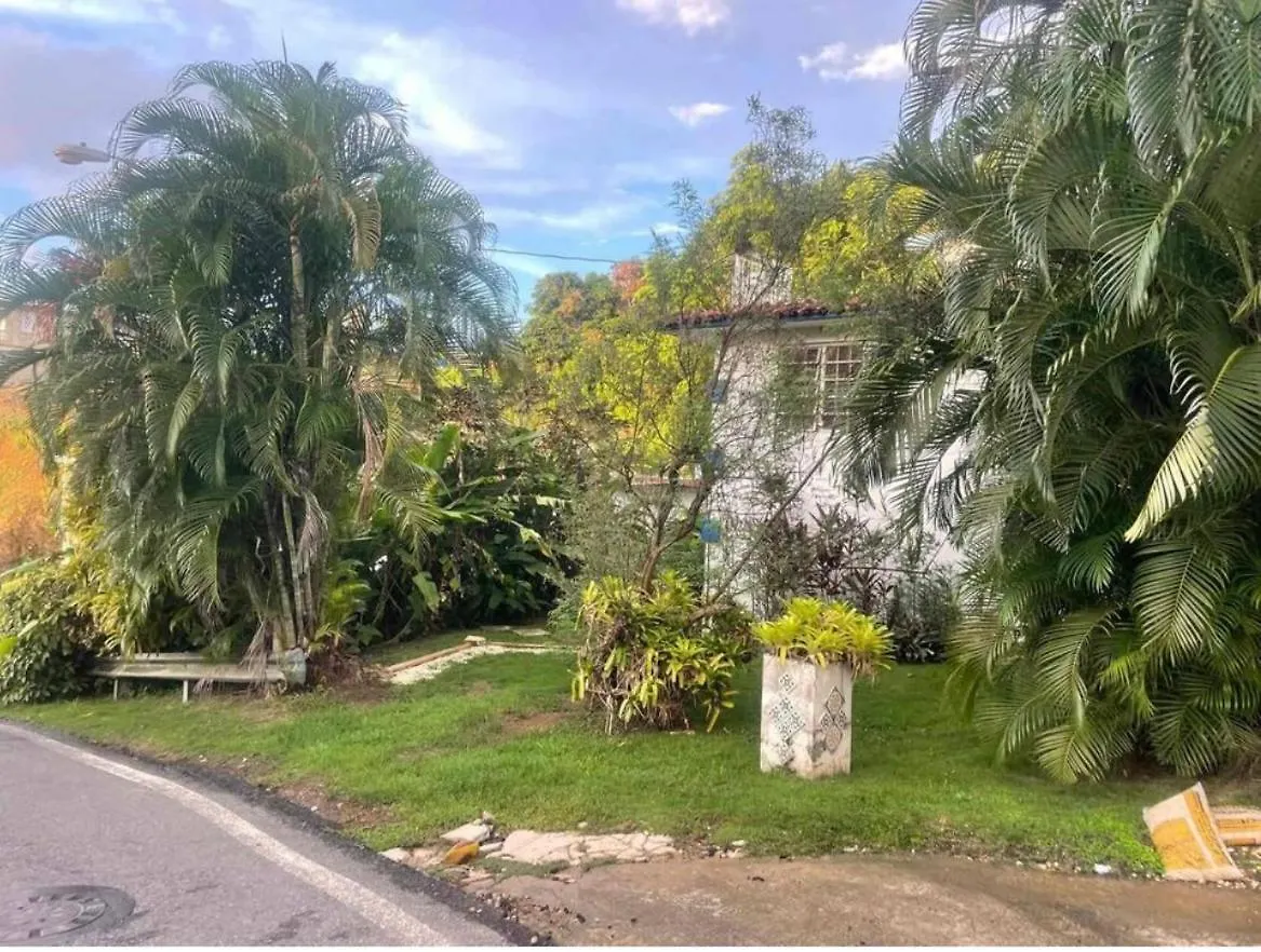 Jungle Bungalow Studio In Rincon Apartment